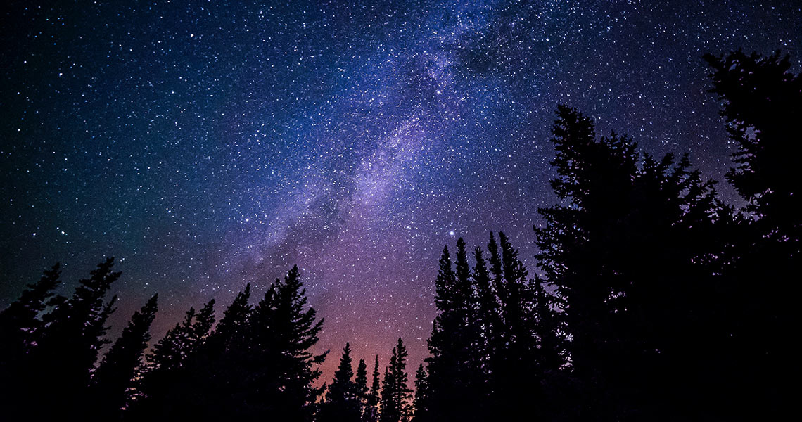 A view of the milky way at night with pine trees in the silhoutted in the foreground